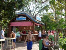 dining-blizzard-beach-orlando